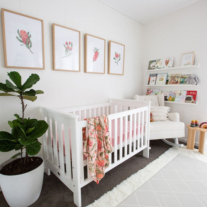 Australian floral banksia baby nursery pink flowers